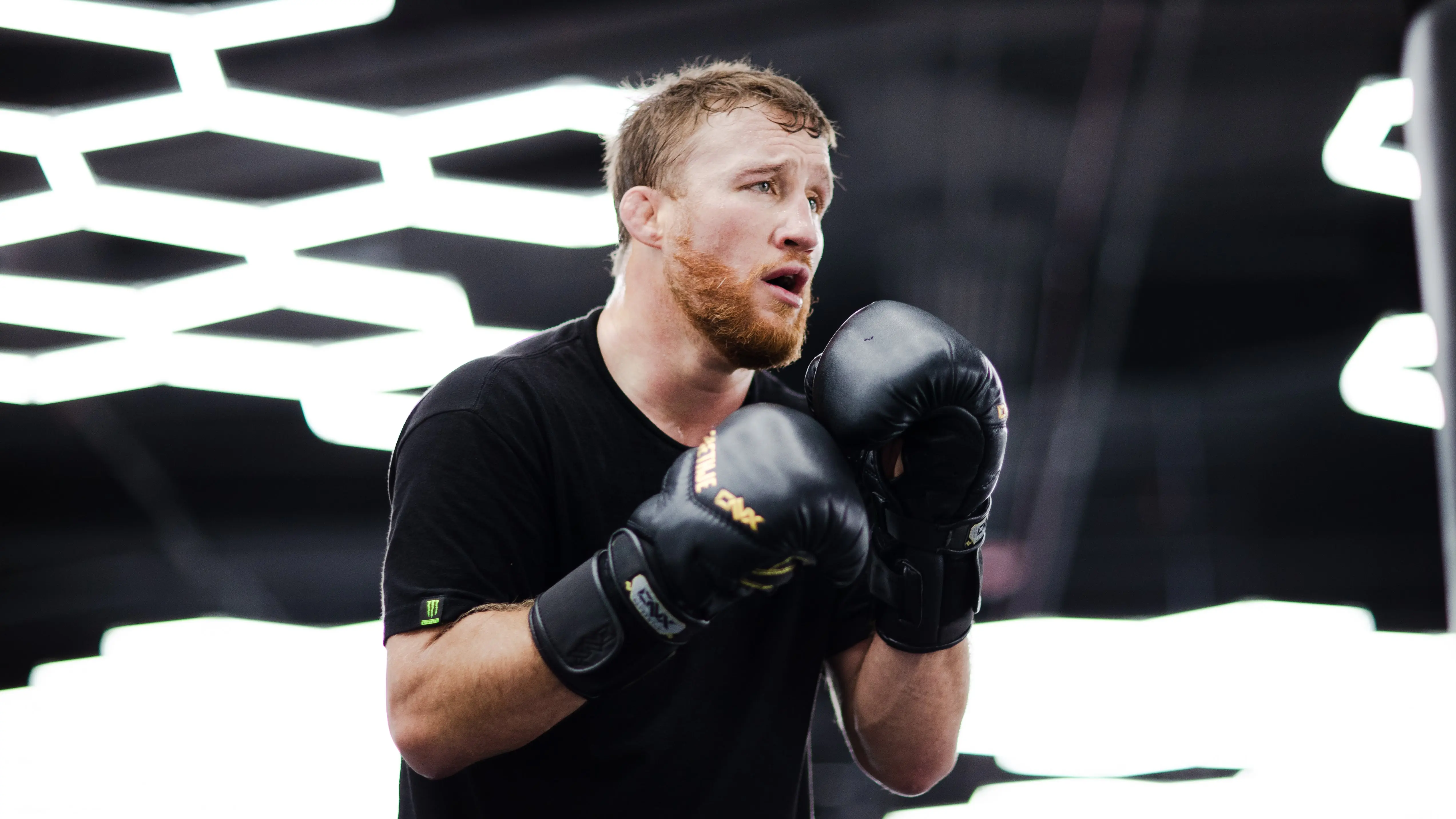 MMA Training Gloves—X4 (Velcro) | ONX Premium Line - Image 6